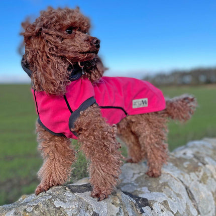 Cerise - Double layer Waterproof Microfleece McTog Dog Jumper - No Sleeves