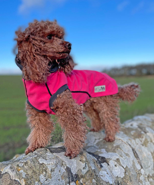 Cerise - Double layer Waterproof Microfleece McTog Dog Jumper - No Sleeves