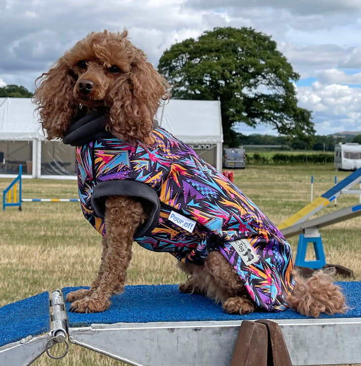 Funky McTog - Microfleece Waterproof Dog Jumper - Back Poppers - Size 4