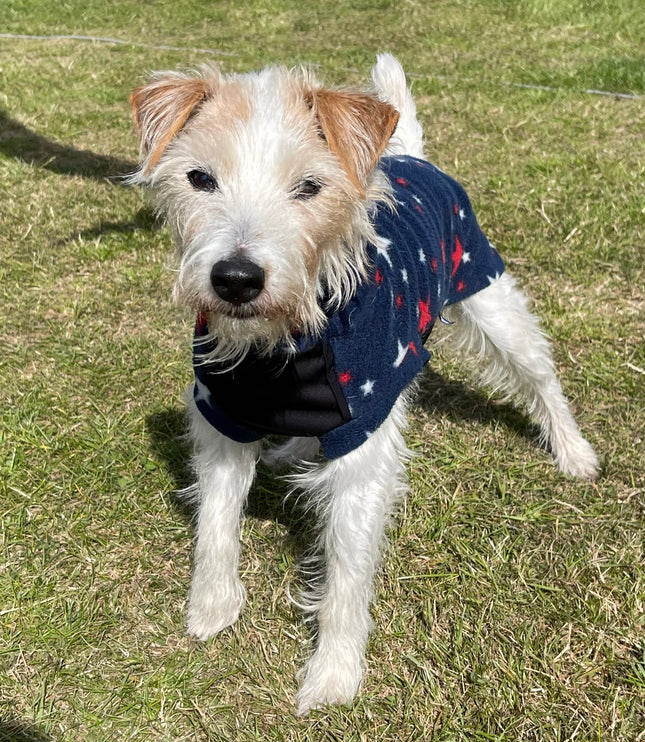 Sparkle McTog - Polar Fleece - Waterproof Panel Dog Jumper