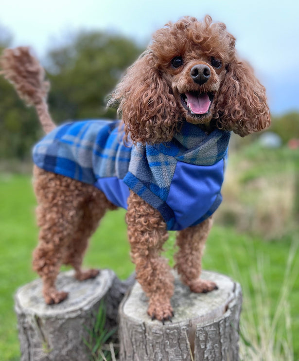 Blue Tartan Polar Fleece - Waterproof Panel McTog Dog Jumper - Only a few sizes left