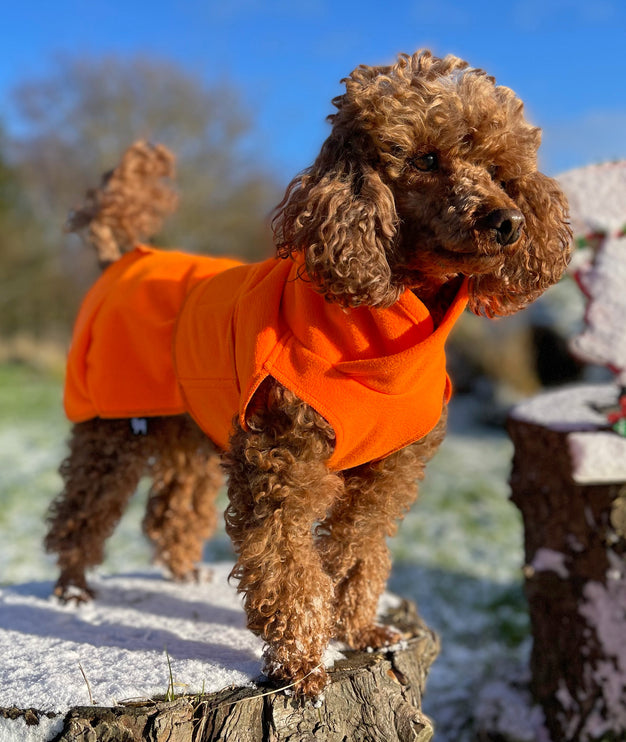 The Jaffa One! Waterproof Microfleece McTog Dog Jumper - Over / Under Style