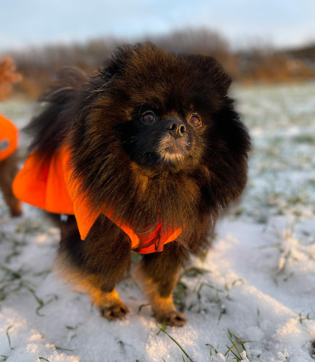 The Jaffa One McTog - Microfleece Waterproof Dog Jumper - Over / Under Style