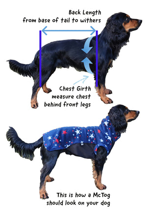 
            
                Load image into Gallery viewer, Purple Double Layer Waterproof Microfleece McTog Dog Jumper - With Sleeves
            
        