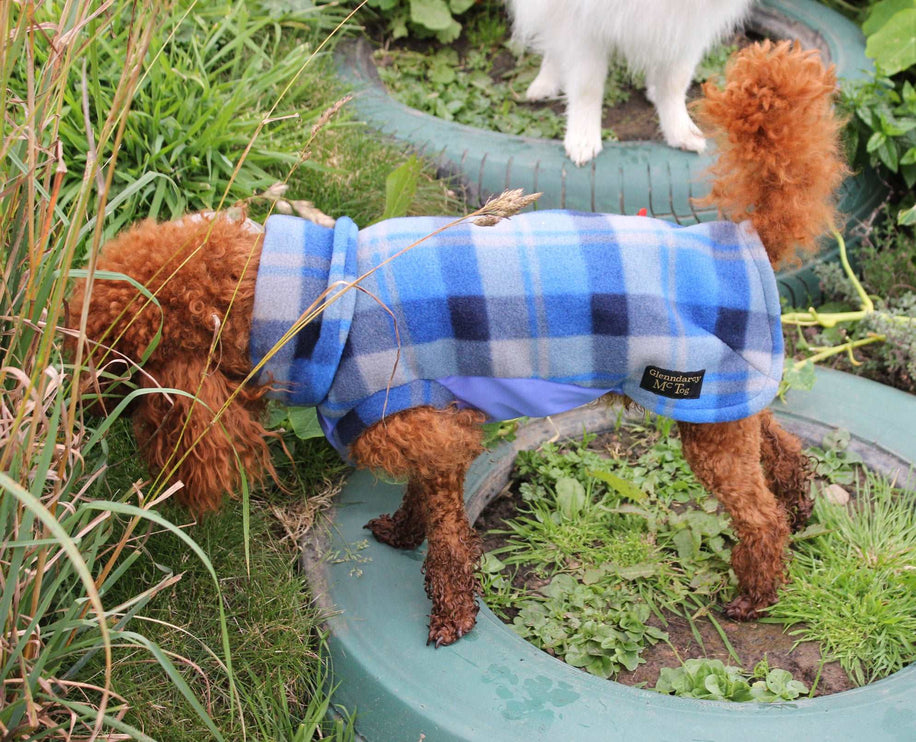 Blue Tartan Polar Fleece - Waterproof Panel McTog Dog Jumper - No Sleeves - Size 4, 4Slim and 5 only