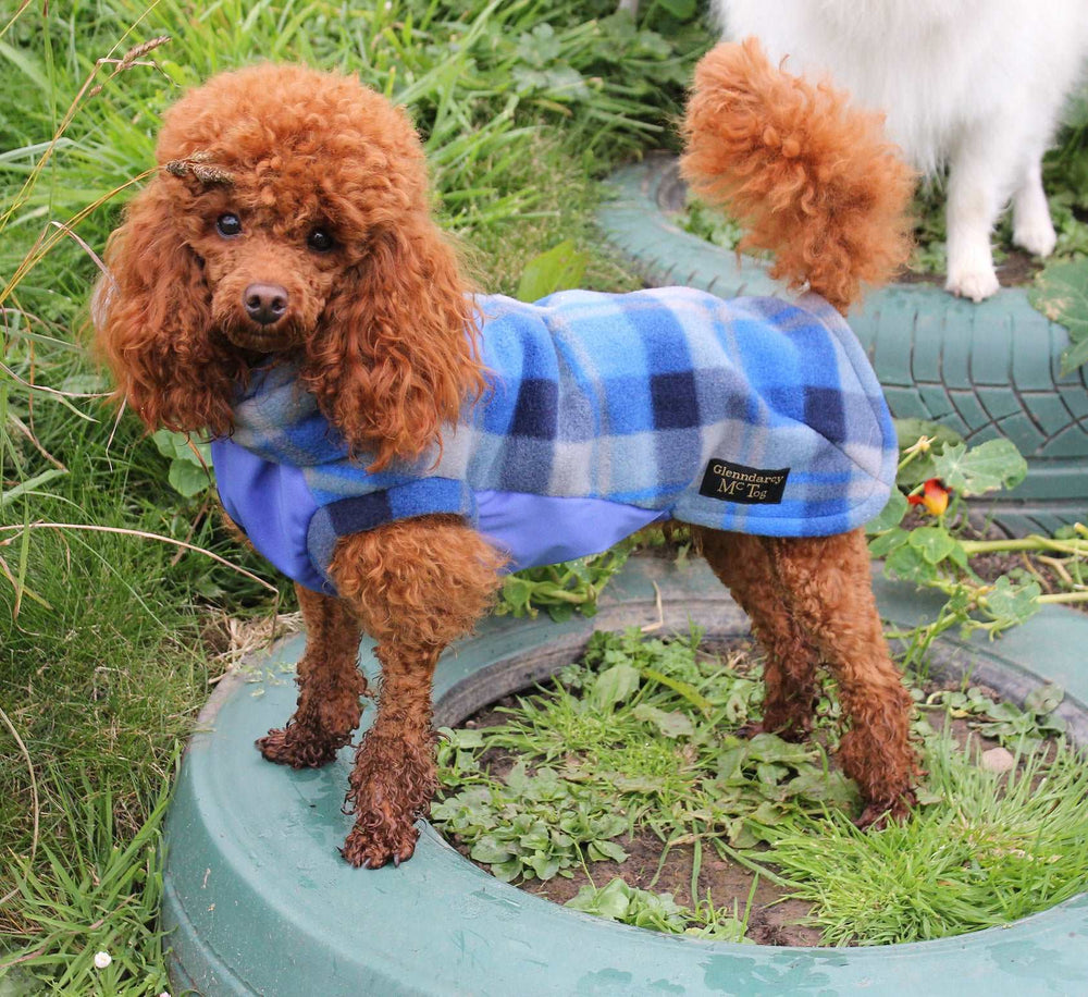 
            
                Load image into Gallery viewer, Blue Tartan Polar Fleece - Waterproof Panel McTog Dog Jumper - No Sleeves - Size 4, 4Slim and 5 only
            
        