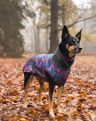 Bohemian Waterproof Microfleece McTog Dog Jumper - No Sleeves