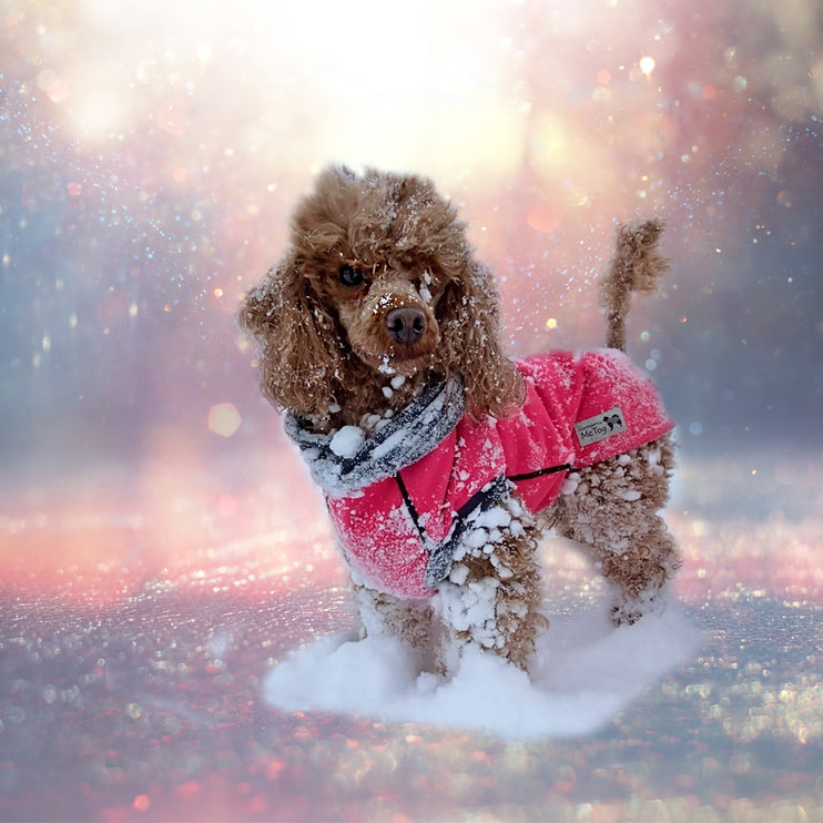 Cerise McTog - Double Layer Microfleece Waterproof Dog Jumper - End of Line Clearance