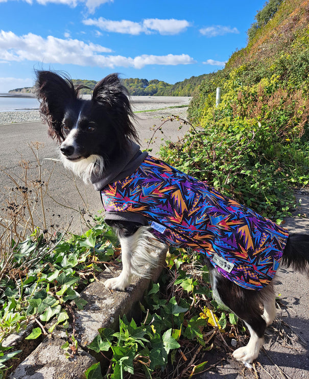 Funky McTog - Microfleece Waterproof Dog Jumper - Back Poppers - Size 4