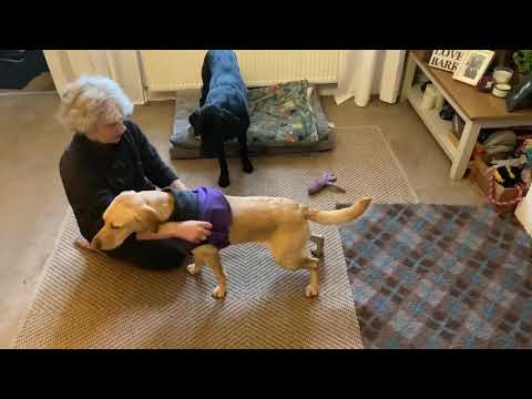 Red White Polar Fleece - Waterproof belly McTog Dog Jumper