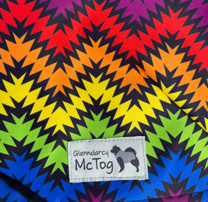 
            
                Load image into Gallery viewer, Rave Waterproof Microfleece Mctog Dog Jumper - No Sleeves
            
        