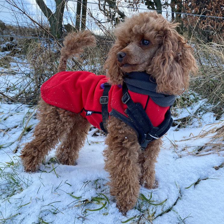 Red Double Layer Waterproof Microfleece McTog Dog Jumper