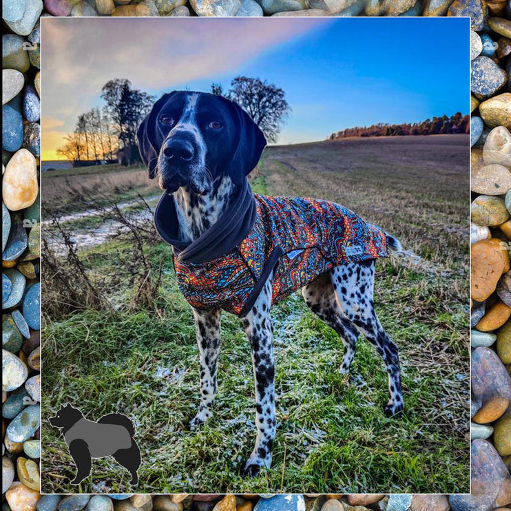 Zanzibar McTog - Microfleece Waterproof Dog Jumper