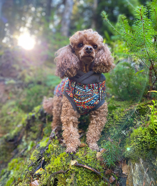 Zanzibar McTog - Microfleece Waterproof Dog Jumper